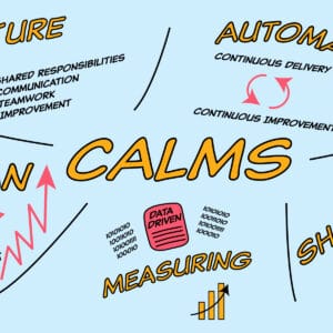 CALMS Framework