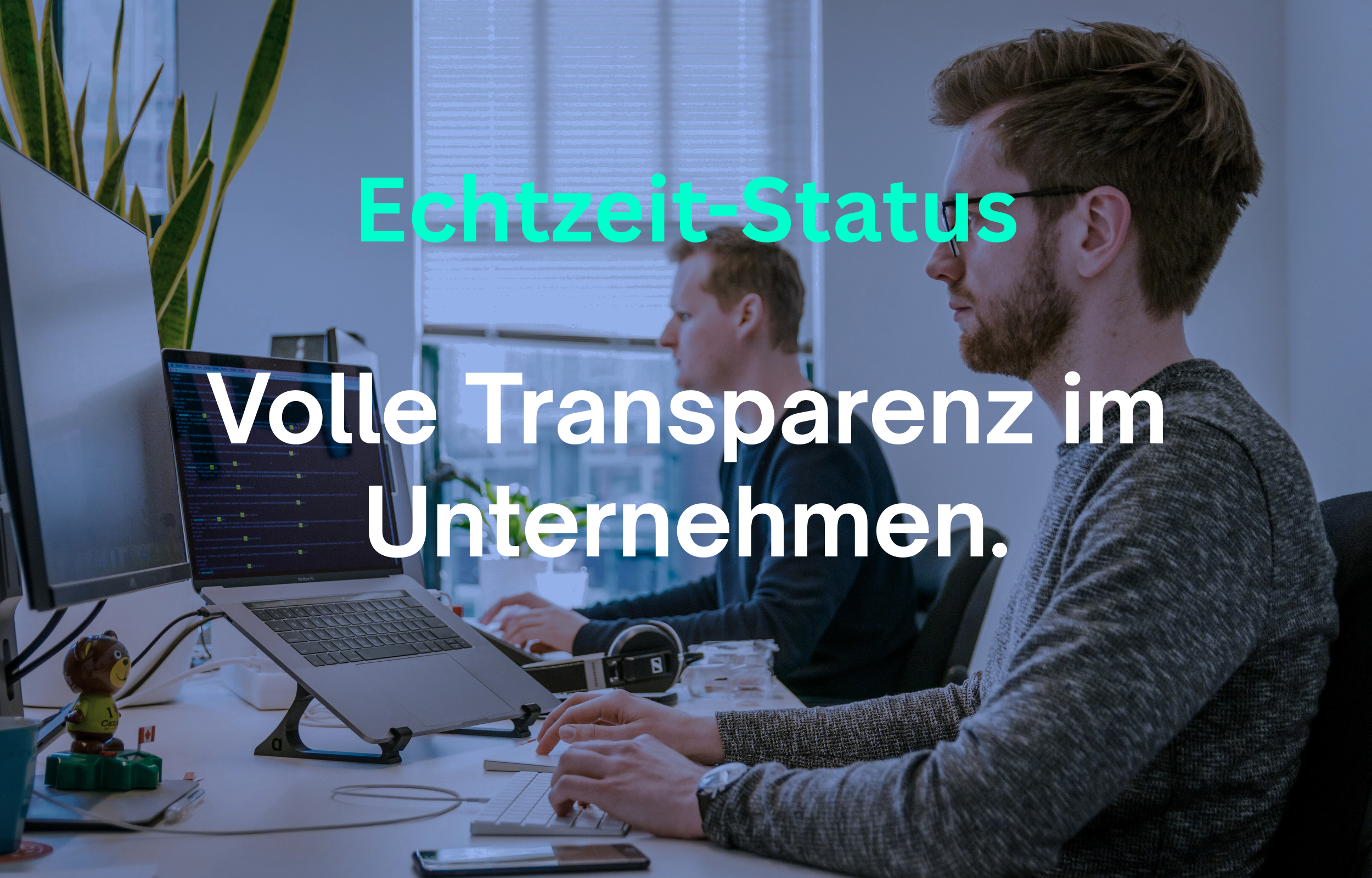 Atlassian Beratung, Volle Transparent im Unternehmen