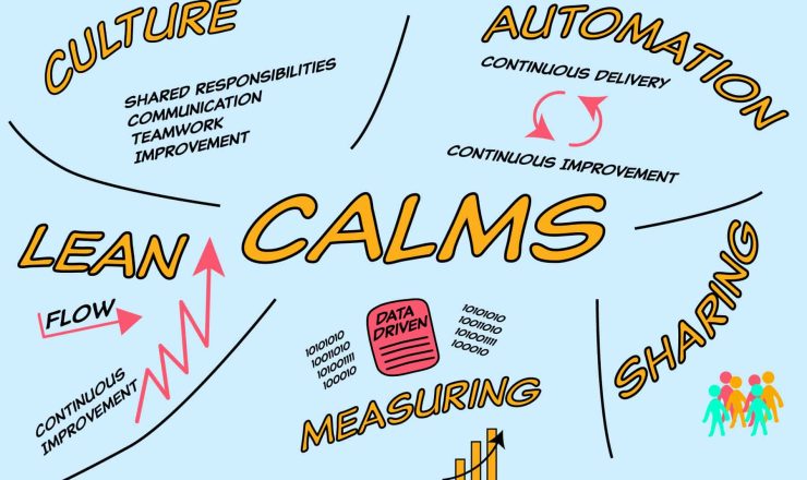 CALMS framework
